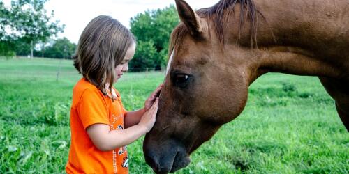 Men and horses, a bond that lasts for centuries