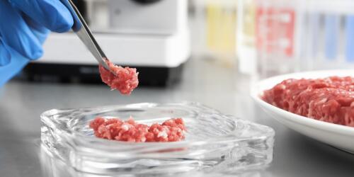 Cultured meat, synthetic food ban is law