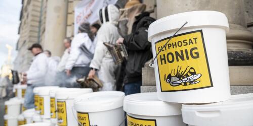 Glyphosate, the associations in government:no to new authorizations