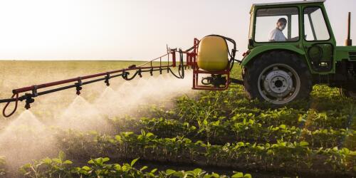 The vicious circle created between the use of pesticides and climate change