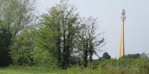 The first wooden tower for telecommunications between innovation and sustainability