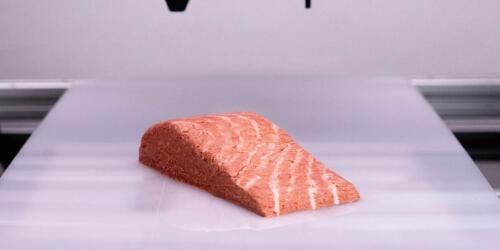 How the 3D printed vegan salmon fillet available in supermarkets is made