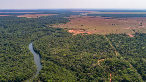 In the Amazon, industrial agriculture has swept away the signs of an ancient civilization