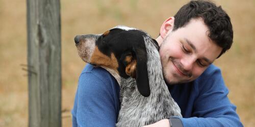 Mugello, 400 euros to anyone who adopts a dog from the municipal kennels