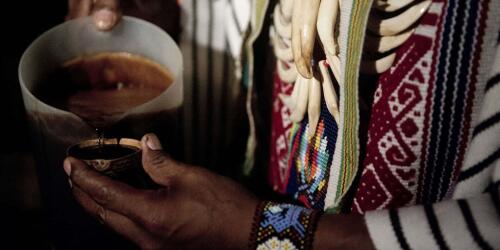 Ayahuasca effect, the potion from the Amazon that has bewitched the West