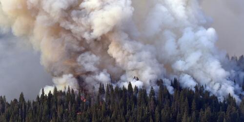 An app for tracking fires in the United States has (narrowly) surpassed TikTok