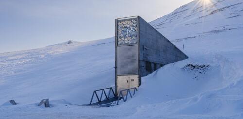 Svalbard Global Seed Vault evokes epic imagery and controversy because of the symbolic value of seeds