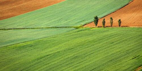 General states of the green economy:Italy produces fewer emissions, but consumes too much land