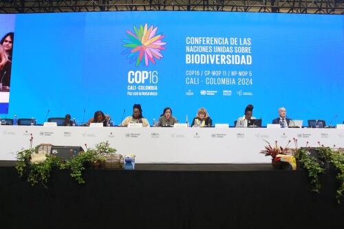 COP16:the predictable flop of the biodiversity protection forum