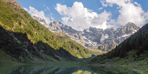 An entire ecosystem dating back 280 million years ago was discovered in Valtellina