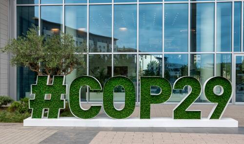 COP29:the priority is, as usual, the agreement on the carbon credit market