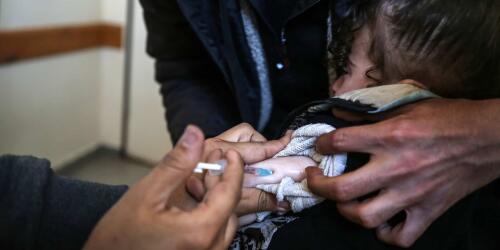 Polio in Gaza, 25 thousand vials of vaccine arrived from the United Nations