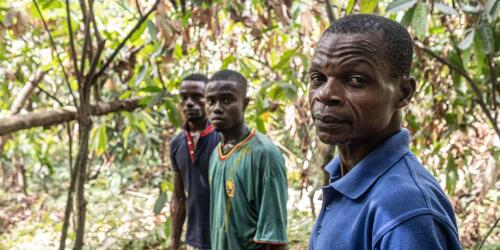 Bitter cocoa.The voice of Ivory Coast farmers, amidst the climate crisis and global market distortions