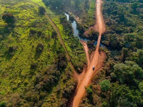 Biodiversity, the indigenous people of the Amazon are helping to save primates