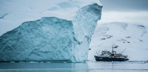 Is collapse of the Atlantic Ocean circulation really imminent? Icebergs’ history reveals some clues