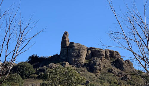 “New life” at the San Silvestro Park in Pietrarubbia, gateway to Montefeltro