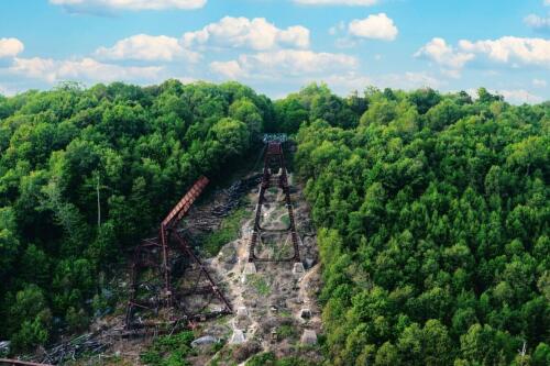 UE, aprobada ley sobre restauración de la naturaleza:El pilar más controvertido del Pacto Verde resiste las protestas de los agricultores