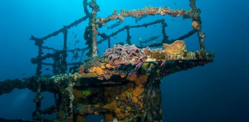 No todos los arrecifes submarinos están hechos de coral: Estados Unidos ha creado arrecifes artificiales a partir de barcos hundidos, torres de radio, furgones e incluso máquinas de votación.