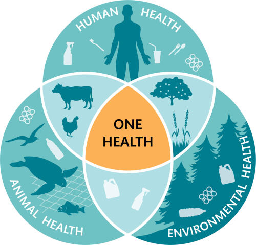 Un proyecto de investigación analiza las partículas de plástico y el cambio climático como factores impulsores de la resistencia a los antimicrobianos