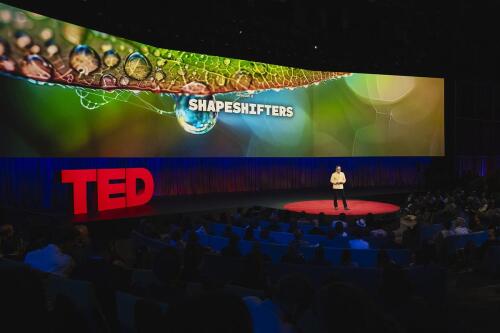 Cambiadores de forma:Notas sobre la sesión 9 de TED2024