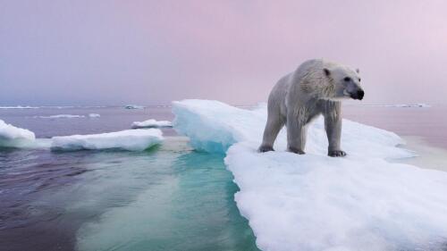 Cambio climático:El plan 'loco' para salvar el hielo marino del Ártico