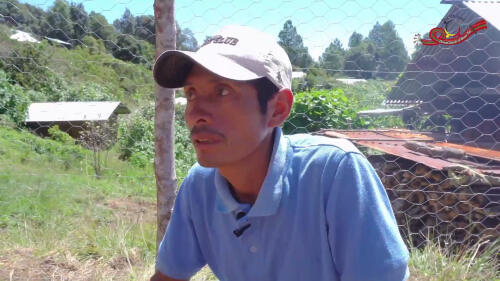 Cultivo de plantas medicinales y prácticas ancestrales en Guatemala.