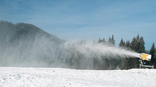 Virgen de Campiglio:otras 2,7 hectáreas de bosques taladas para dejar espacio para el esquí