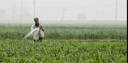 La Revolución Verde es una advertencia, no un plan para alimentar a un planeta hambriento