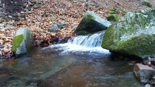 VÍDEO | 'Objetivo Agua', Francesco Vincenzi (Anbi):“Las cuencas y embalses son fundamentales para el país”