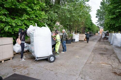 'El bosque andante' llega a Pesaro:así se regeneran los espacios urbanos