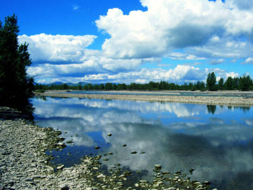 Primavera diciembre, febrero fuera de serie:El invierno más cálido jamás vivido en Emilia-Romaña