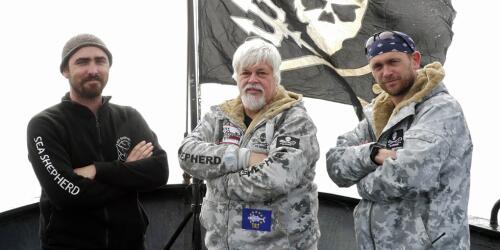 Paul Watson, activista y fundador de Sea Shepherd, ha sido arrestado en Groenlandia