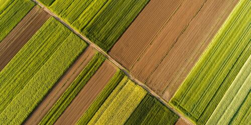 La política agrícola común, su revisión representa una victoria para los agricultores con tractores