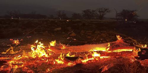 Incendios forestales en Maui:Desafíos logísticos adicionales obstaculizan la respuesta inicial del gobierno cuando los desastres azotan las islas