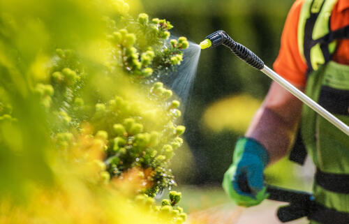 En Italia el número de pesticidas en los alimentos sigue mejorando