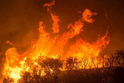 Los incendios forestales también afectan los ecosistemas acuáticos