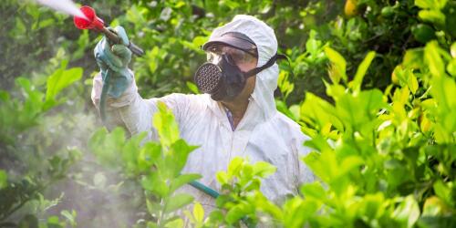 Pesticidas en los alimentos, ¿dónde estamos?