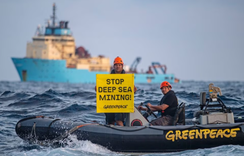 Un centenar de organizaciones ecologistas piden una moratoria sobre la minería en aguas profundas