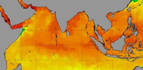 El calor del océano está fuera de serie: esto es lo que eso significa para los humanos y los ecosistemas de todo el mundo