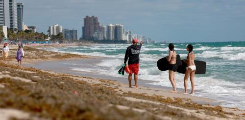 El Gran Cinturón de Sargazo del Atlántico está llevando una enorme proliferación de algas pardas hacia Florida y el Caribe