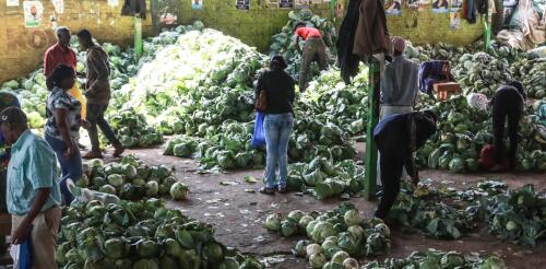 Instalar refrigeradores en países en desarrollo es una forma eficaz de reducir el hambre y frenar el cambio climático