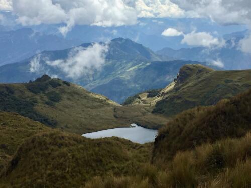 Un nuevo estudio encuentra que las quemaduras provocadas por humanos y el calentamiento de los ecosistemas andinos alterados