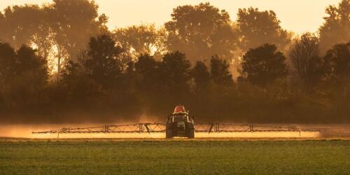 Reducir a la mitad los pesticidas:el Parlamento Europeo rechaza la propuesta