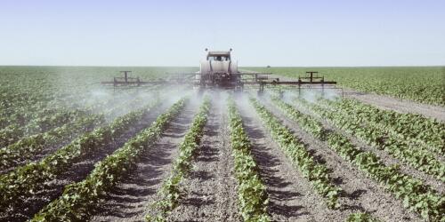 Pesticidas peligrosos, la Comisión de Medio Ambiente del Parlamento Europeo aprueba la reducción del 65 por ciento