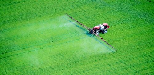 'Primavera silenciosa' 60 años después:4 lecturas esenciales sobre pesticidas y el medio ambiente