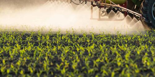 Residuos de pesticidas en alimentos importados:el Parlamento Europeo dice que no