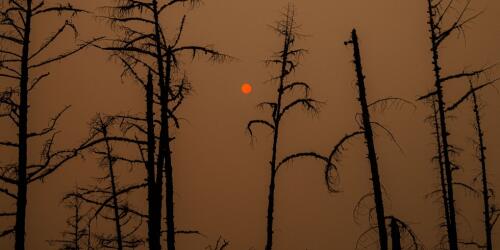 El Ártico ya está asolado por los incendios, cuando apenas comienza el verano