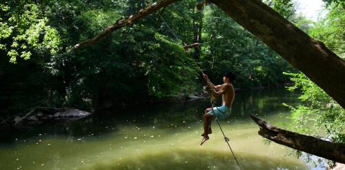 Cuatro formas en que Wissahickon Valley Park hace que Filadelfia sea más resiliente contra el cambio climático