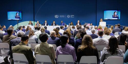 La COP29 en Bakú comienza con un acuerdo sobre el mercado global de créditos de carbono