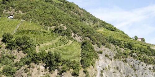 Agricultura y clima, el nuevo mapa alimentario revela el cambio necesario